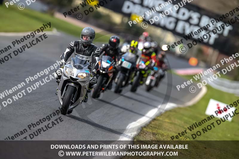 Oulton Park 21st March 2020;PJ Motorsport Photography 2020;anglesey;brands hatch;cadwell park;croft;donington park;enduro digital images;event digital images;eventdigitalimages;mallory;no limits;oulton park;peter wileman photography;racing digital images;silverstone;snetterton;trackday digital images;trackday photos;vmcc banbury run;welsh 2 day enduro